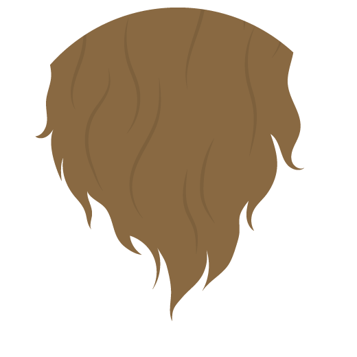 Illustration of the mid-lengths and ends of hair