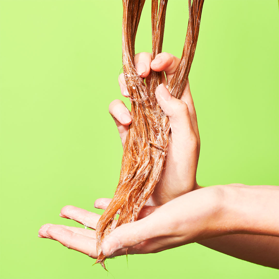 Cocomino&trade; Glossing Shampoo, 